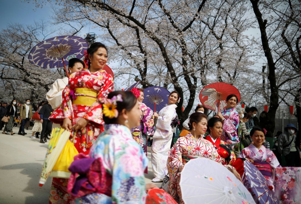 Токиодаги Уэно боғида олча дарахти гулларини кўргани келган кимонодаги туристлар.