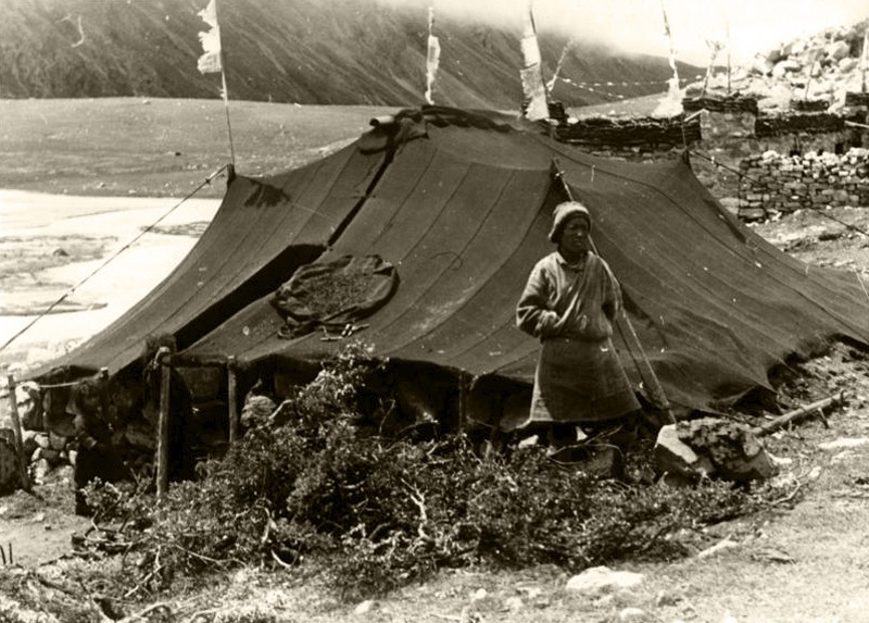 Тибет кўчманчиси. 1938 йил.