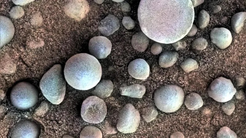 Mars yuzasidagi chernikani eslatuvchi mayda toshlar.                                                                                                                                     Foto: Gizmodo