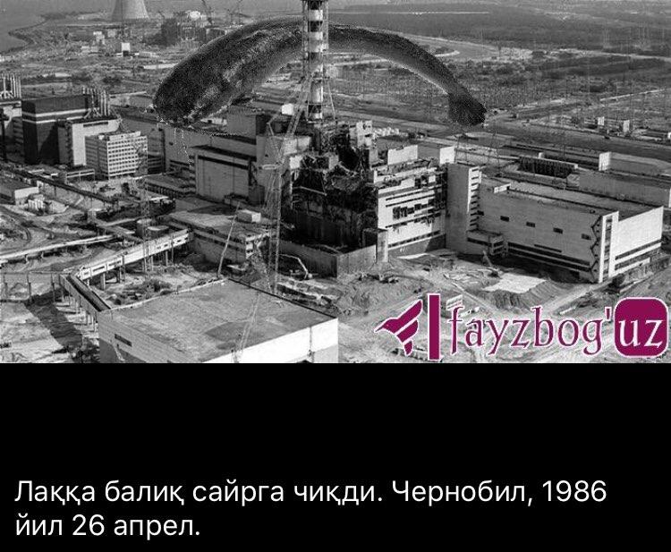 Скрин: «Дарё»