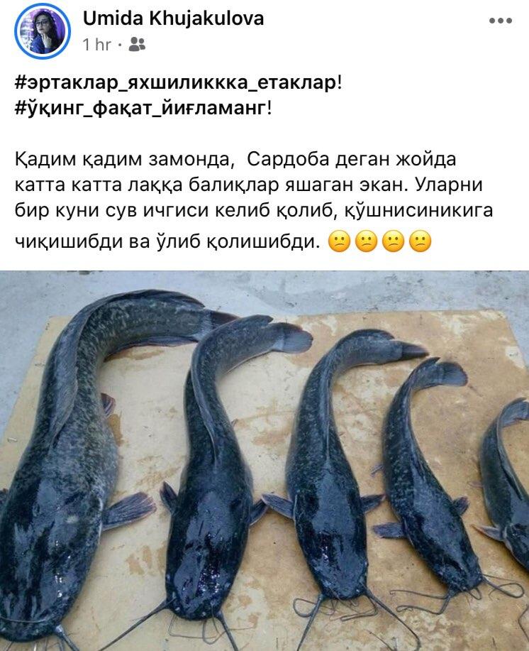 Скрин: «Дарё»