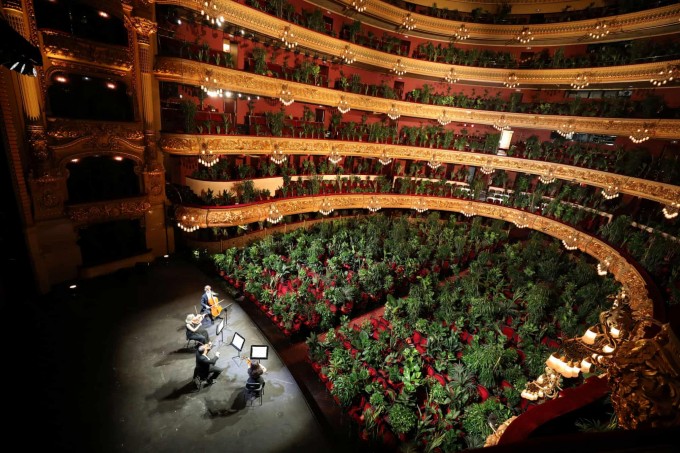 Ispaniyaning Barselona shahridagi Gran-teatre del Liseu teatrida o‘rindiqlarga qo‘yilgan o‘simliklar. Ular uchun yaqinda qayta ochilgan opera konserti qo‘yilmoqda.