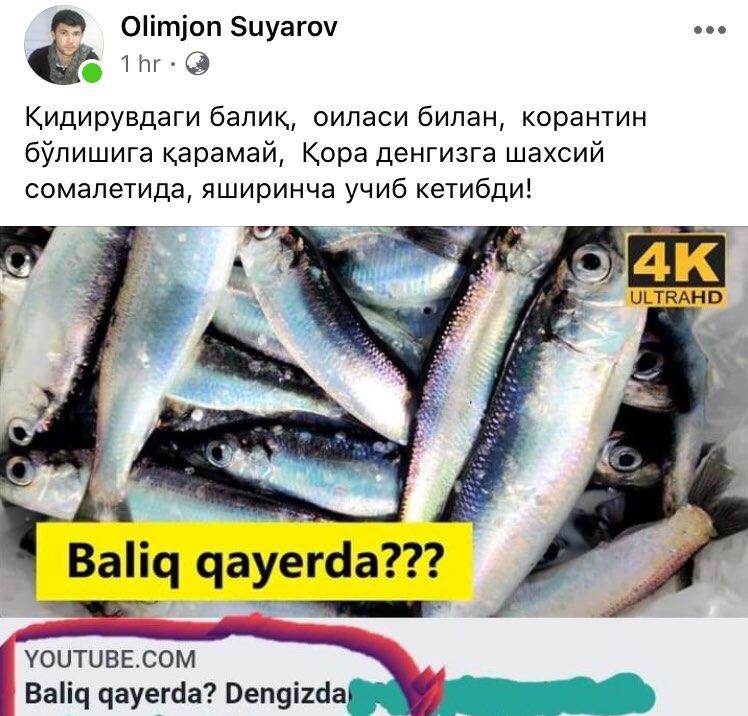 Скрин: «Дарё»