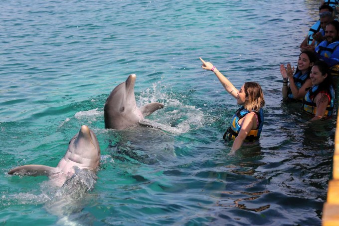 Meksikaning Isla-Muxeres munitsipalitetidagi delfinariyda delfinlar bilan o‘ynayotgan sayyoh.