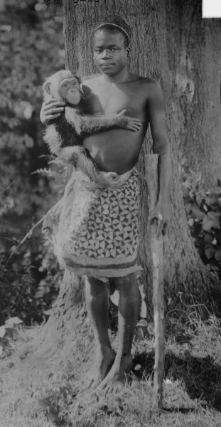 Bronx hayvonot bog‘idagi maymunlar qafasiga joylashtirilgan Ota Benga, 1906-yil