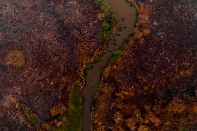 Pantanaldagi yong‘in oqibatlari. 2020-yilning sentabri