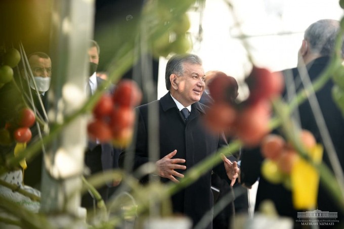 Prezident Shavkat Mirziyoyev 12-dekabr kuni Xorazm viloyatiga kelib, Xonqa tumanidagi innovatsion issiqxonani borib ko‘rdi. 2020-yil, 12-dekabr.