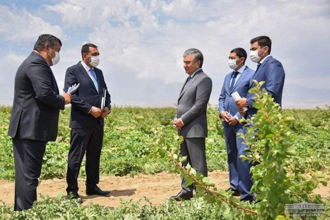 Shavkat Mirziyoyevning Namanganga tashrifi Pop tumanidan boshlandi. Davlat rahbari “Nuran uz” meva-sabzavotchilik klasteri faoliyati bilan tanishdi. 2020-yil, 26-iyun.