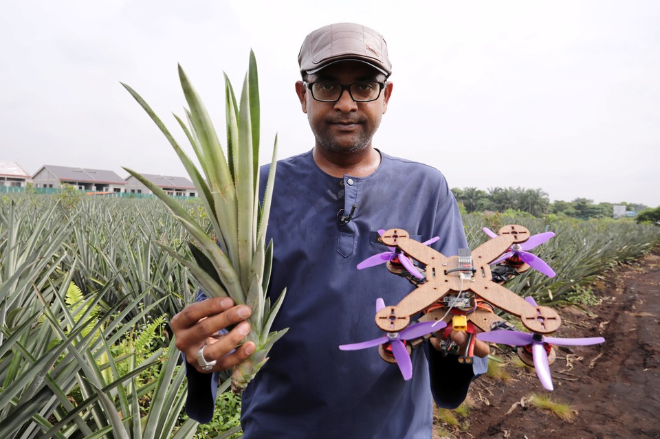 Malayziyaning Putra universiteti professori Muhammad Txarik ananas barglari va ananas qismlaridan qilingan uchuvchisiz samolyotni ushlab turibdi.
