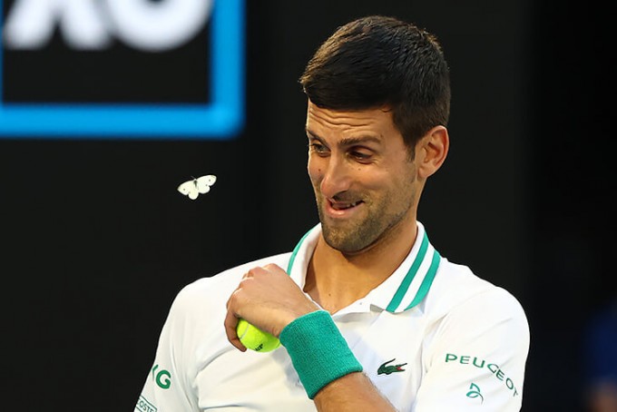 18-fevral. Australian Open musobaqasida Novak Jokovichnig atrofida boshqa bir (oq rangdagi) kapalak aylanmoqda.