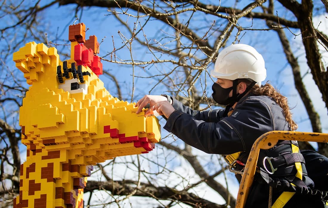 Angliyaning Vindzor shahrida Legoland tematik parki pandemiya sababli tanaffusdan so‘ng 12-aprel kuni ochiladi. Hozirda park ochilishiga tayyorgarlik ishlari ketmoqda.