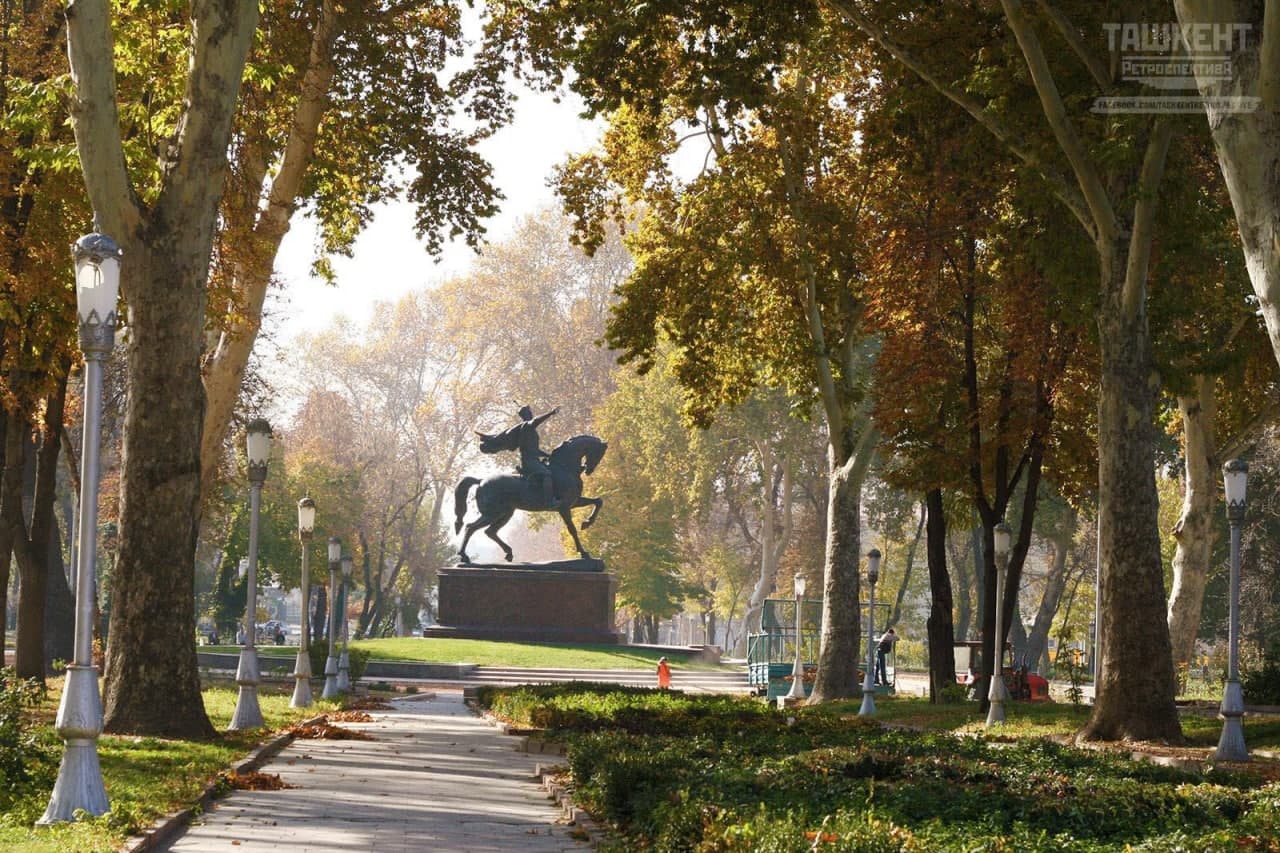 Березы В Ташкенте