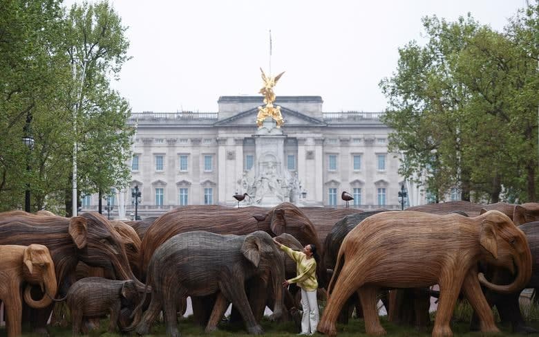 Natasha Hibbert ismli ayol Londondagi The Mall savdo markazida Elephant Family Trust tomonidan uyushtirilgan real o‘lchamdagi yog‘och fil haykallari ko‘rgazmasi bilan birga suratga tushmoqda.