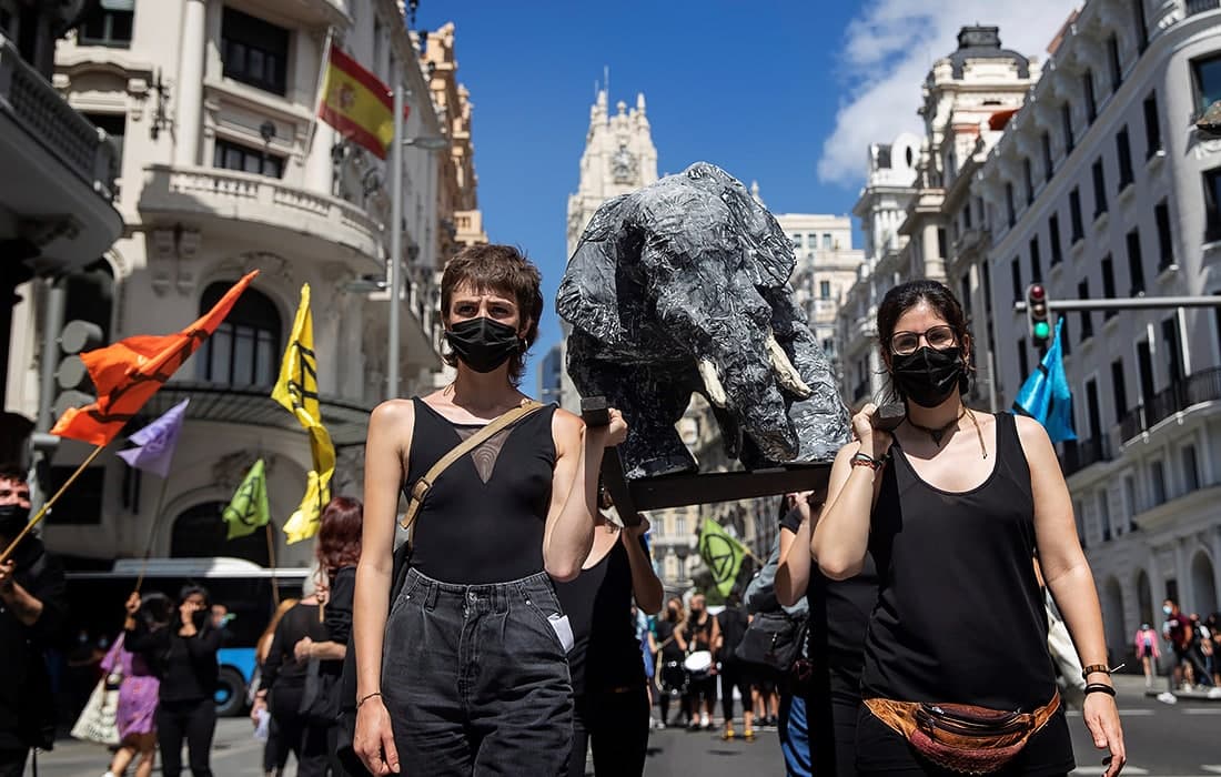 Madriddagi Extinction Rebellion ekologik harakatining hayvonlarni asrash bo‘yicha namoyishi.