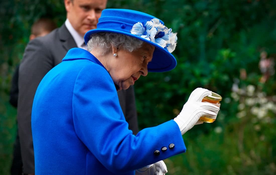 Буюк Британия қироличаси Елизавета II Шотландияга қилган ташрифи давомида идишга солинган асални кўздан кечирмоқда.