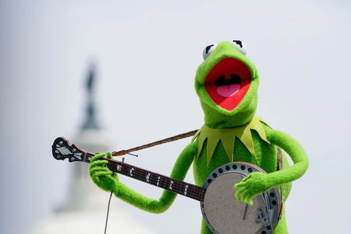 Qurbaqa Kermit ismli personaj Vashingtondagi Kapitoliy yaqinidagi konsertda qatnashmoqda.