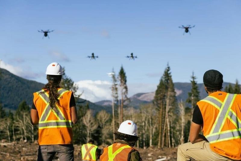 Kanadada bir kunda minglab daraxt urug‘larini ekishga qodir dron yaratildi (foto)