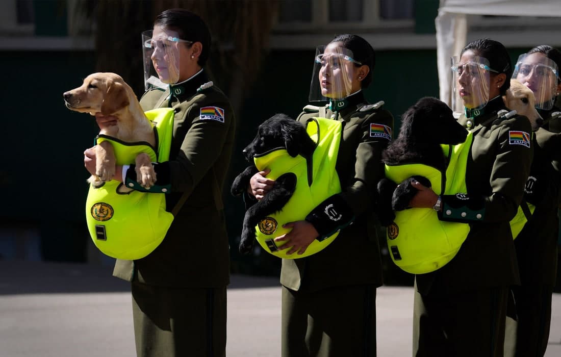 Боливия миллий полиция академияси янги хизмат итларини қабул қилди.