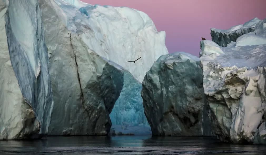 Grenlandiyaning Ilulissat shahri yaqinidagi aysberglar.