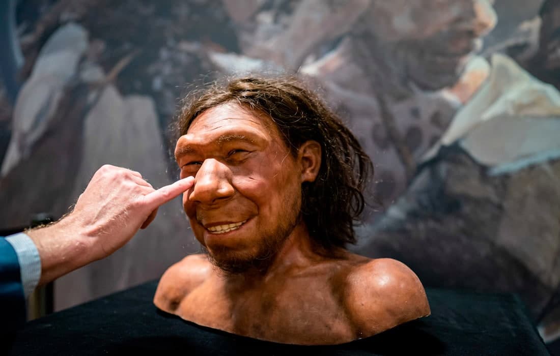 Leyden shahridagi Milliy tarix muzeyida Kran laqabli birinchi golland neandertalining rekonstruksiyasi namoyish etilmoqda.