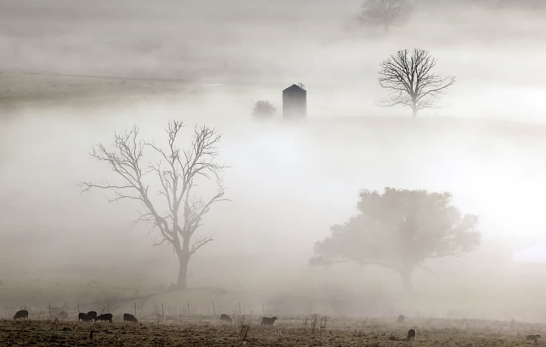 Австралиядаги Оренж ҳудудида эрталабки туман.