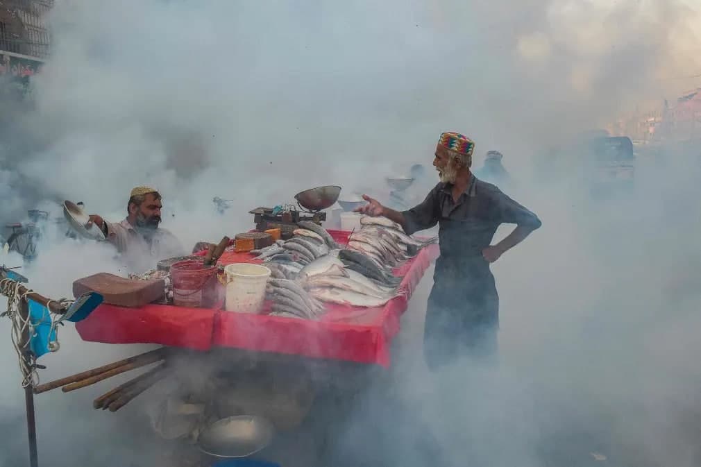 Karachidagi baliq bozorida chivinlar orqali yuqadigan kasalliklarga qarshi profilaktika sifatida qo‘llanilayotgan fumigatsiya jarayoni.