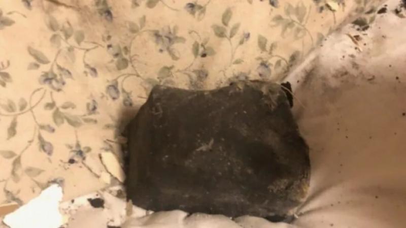 Канадада метеорит аёлни уйғотиб юборди: у уй эгасининг каравотидаги ёстиққа келиб тушган