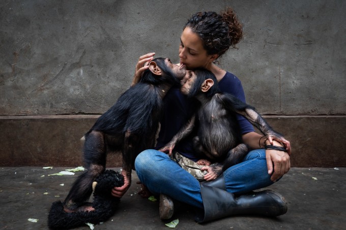 “Davolovchi teginish” — Kinshasadagi primatlarning reabilitatsiya markazi direktori go‘sht savdosi oqibatida yetim qolgan maymunlar bilan
