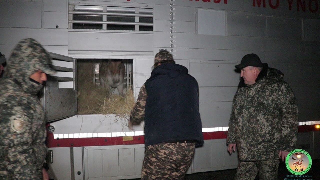 Foto: “Sudoche-Aqpetkey” davlat buyurtma qo‘riqxonasi