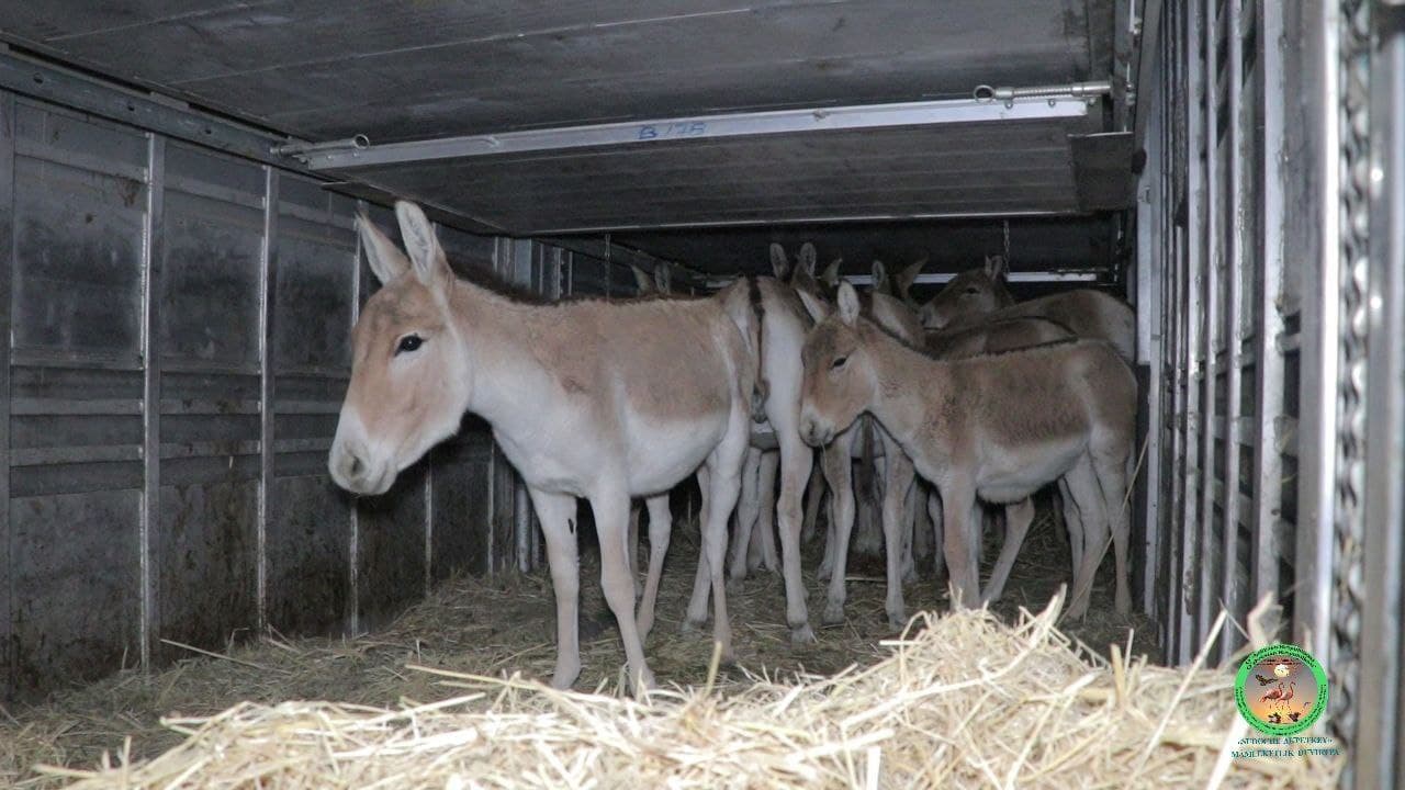 Foto: “Sudoche-Aqpetkey” davlat buyurtma qo‘riqxonasi