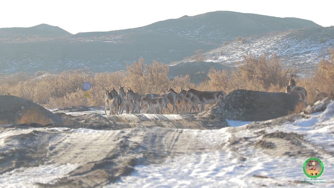 Foto: “Sudoche-Aqpetkey” davlat buyurtma qo‘riqxonasi