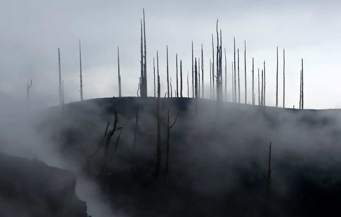 Испаниянинг Палма оролидаги Камбре-Веха вулқонининг отилиши оқибатлари.