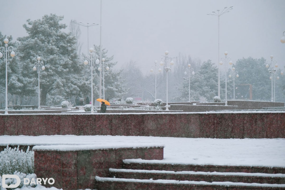 Foto: Dilzoda Hamidjonova / “Daryo”