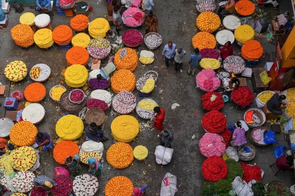 Hindistonning Bangalor shahridagi Makar Sankranti hosili festivali oldidan bozordagi gul sotuvchilar.