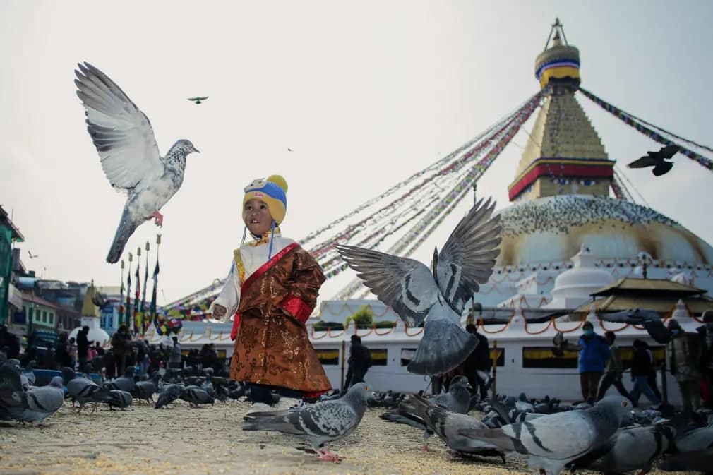Katmanduda an’anaviy Tamang libosida kiyingan yosh bola Yangi yil festivalida kaptarlar bilan o‘ynamoqda.