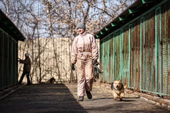 DXR – Donetskdagi “Pif” uysiz qolgan hayvonlar muassasasida ishlayotgan volontyor. Bu yerda 800 ga yaqin uysiz itlar parvarish qilinardi, 13-mart