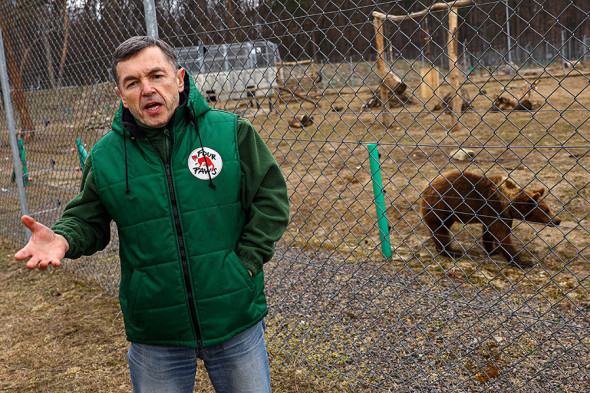 Kiyevdagi zoopark ayiqlari Lvovga evakuatsiya qilinmoqda, 8-mart