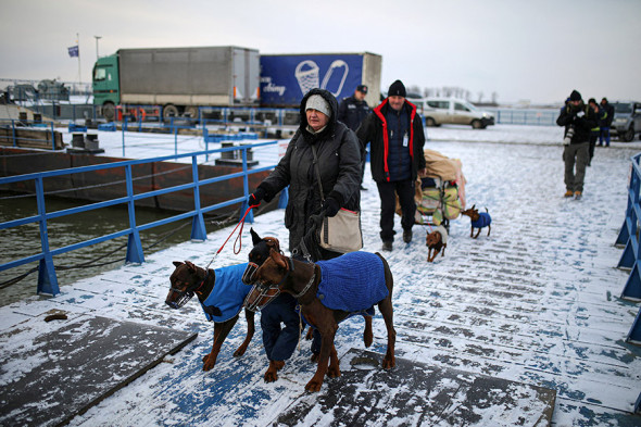 Ukrainaning Nikolayev shahrida yashovchi oila beshta iti bilan birga evakuatsiya qilinmoqda, 11-mart