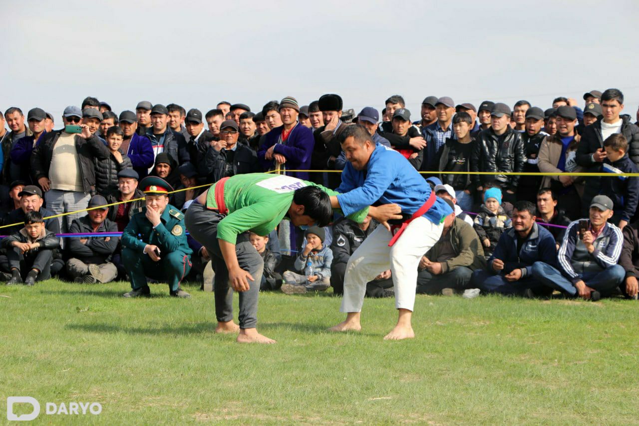 Qamashilik polvonlar kurash tushmoqda.