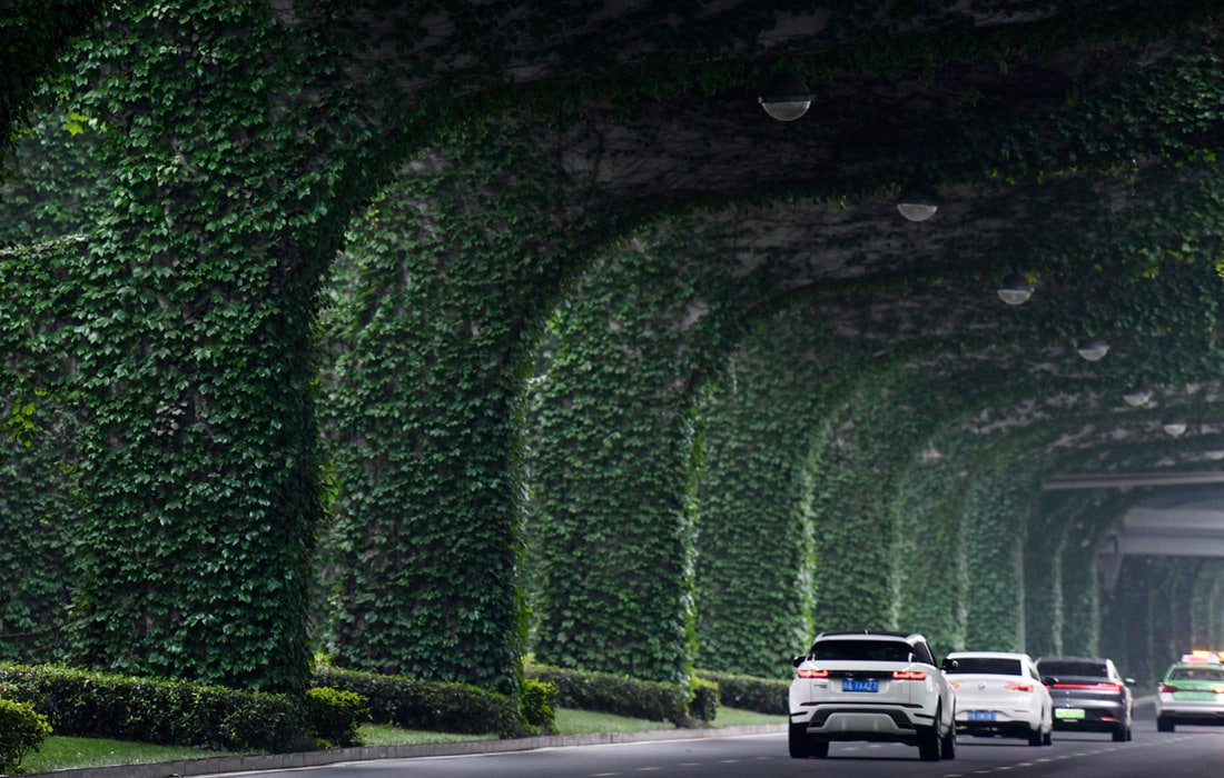 Xitoyning Chengdu shahridagi “Yashil koridor”.