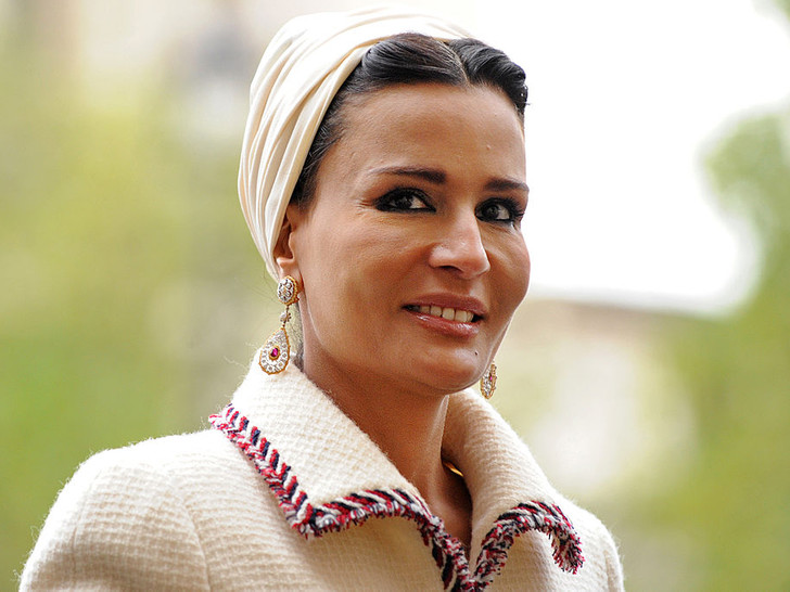 Shayx Moza, 2010-yil