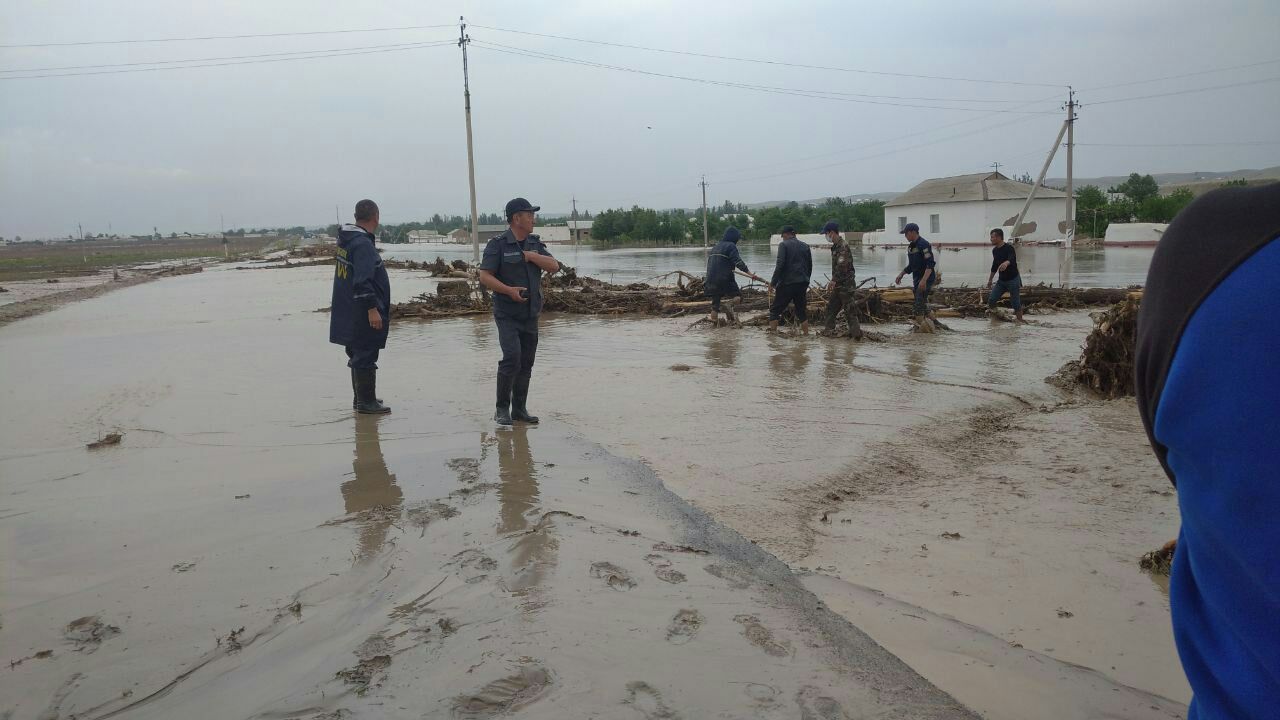 Foto: Jizzax viloyati Favqulodda vaziyatlar boshqarmasi
