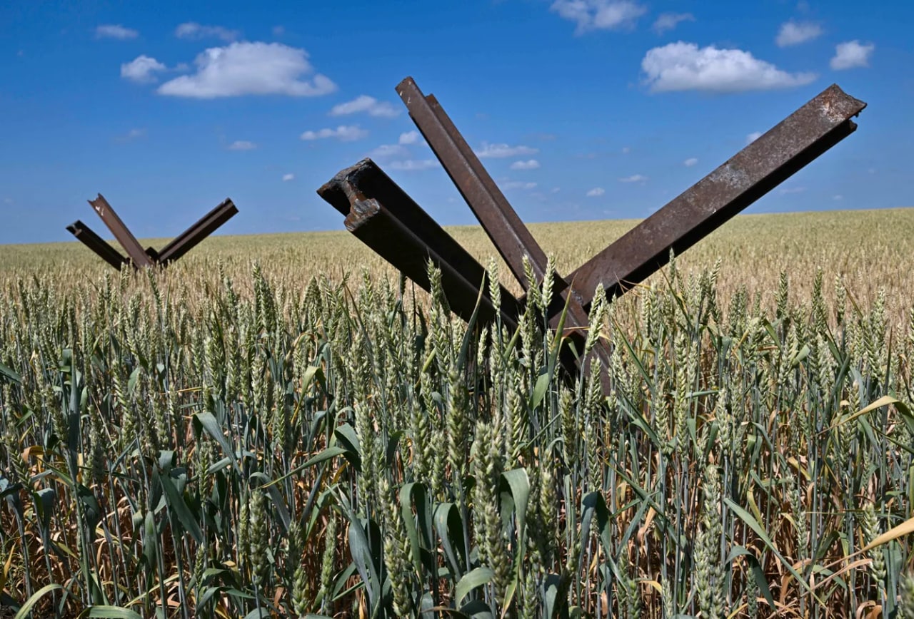 Ukraina janubi Nikolay viloyatidagi bug‘doy dalasida tankka qarshi to‘siqlar.