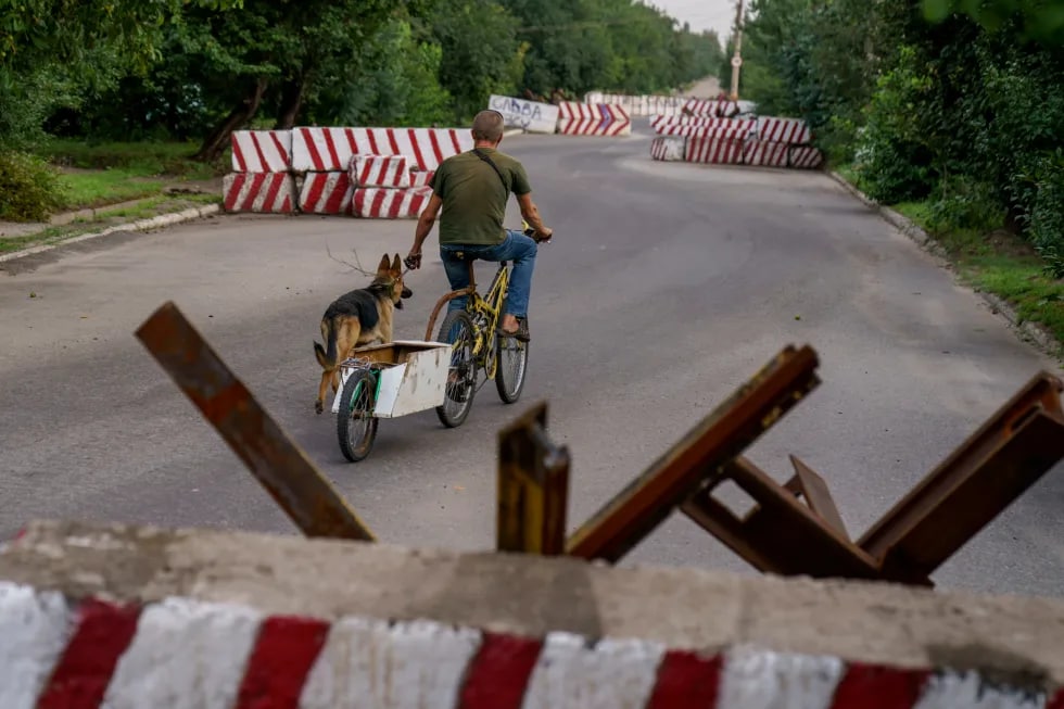 Donetsk viloyatining Ukraina nazoratidagi Drujkovka shahrida velosipedchi iti bilan barrikadalar orasidan o‘tmoqda. Barrikadalarda “Ukraina Qurolli Kuchlariga shon-sharaf” degan yozuv ko‘zga tashlanadi.
