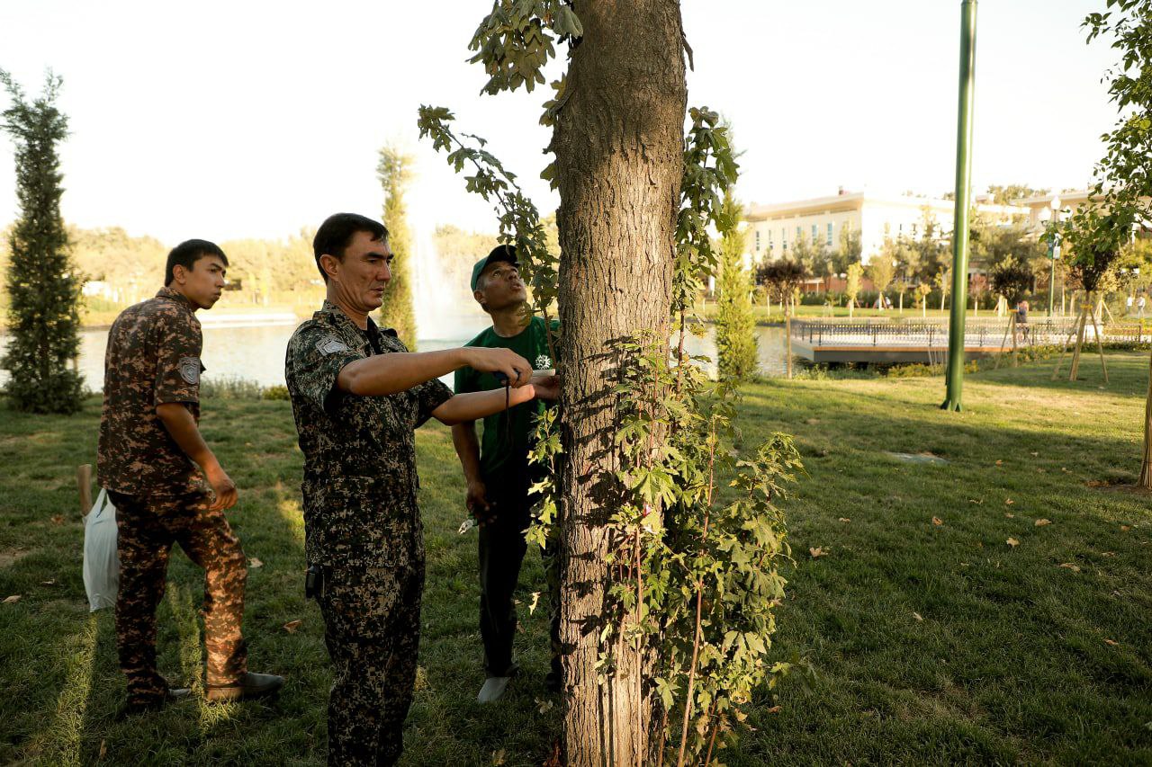 Foto: Davlat ekologiya qo‘mitasi matbuot xizmati