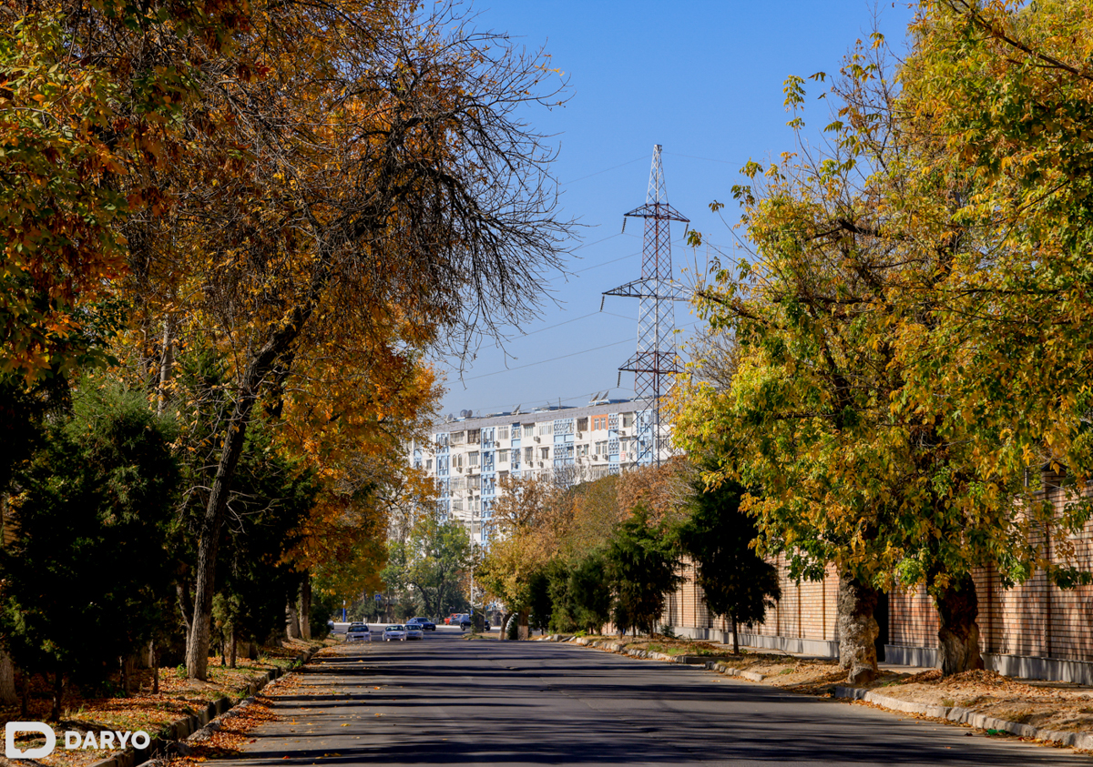 Фото: «Дарё» / Мадина Нурман