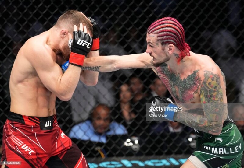 UFC 280. Shon O‘Melli sensatsion tarzda Pyotr Yanni mag‘lub etdi