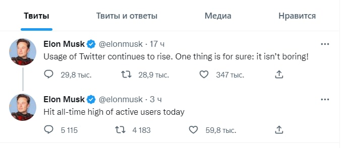 Foto: Twitter / Elon Musk