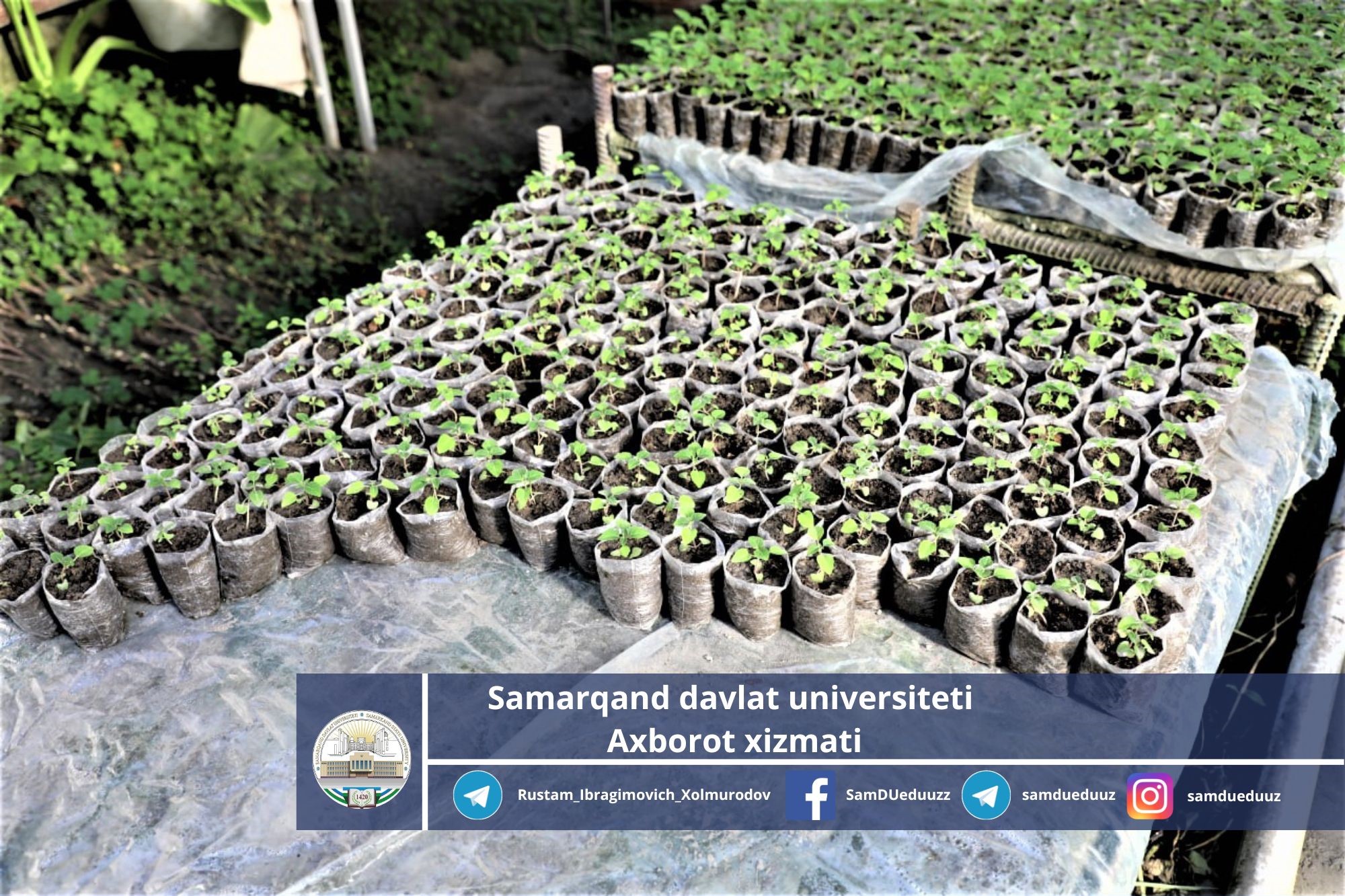 Foto: Samarqand davlat universiteti matbuot xizmati