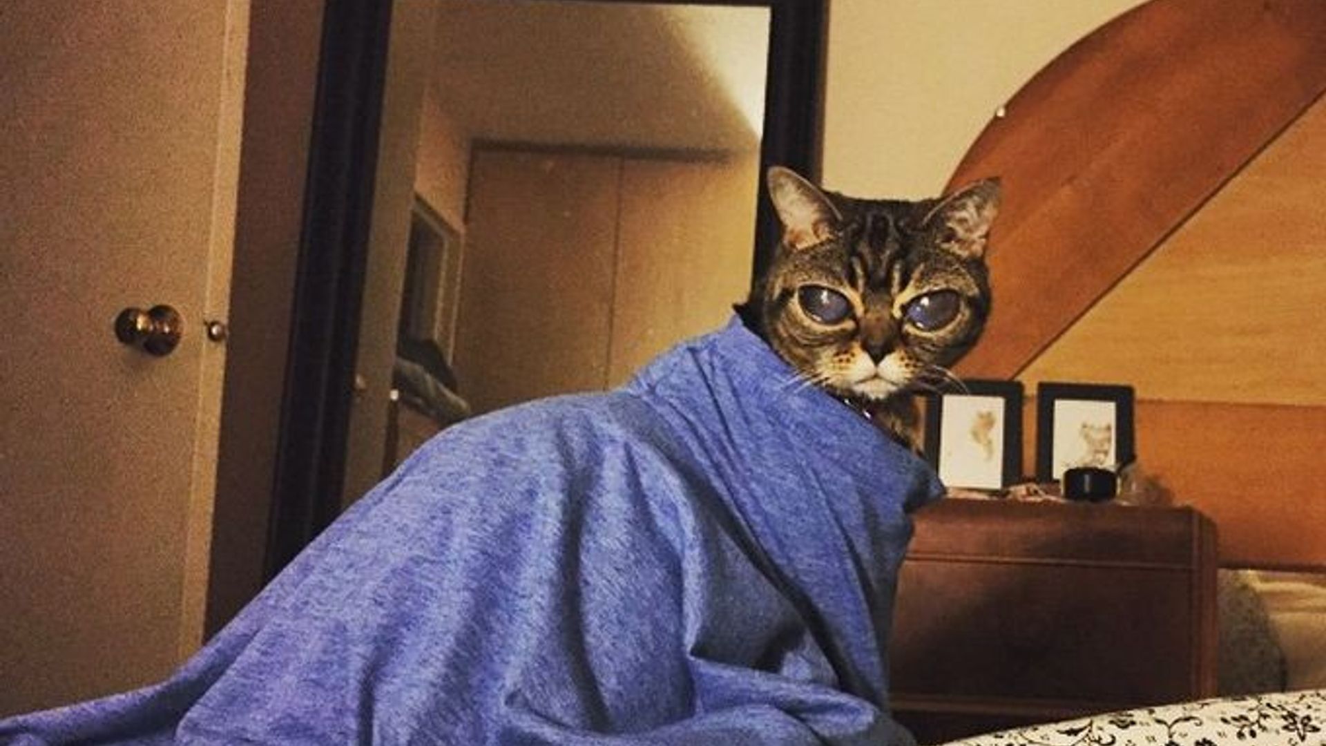 Shaxsiy eskortlarning yangi profillari